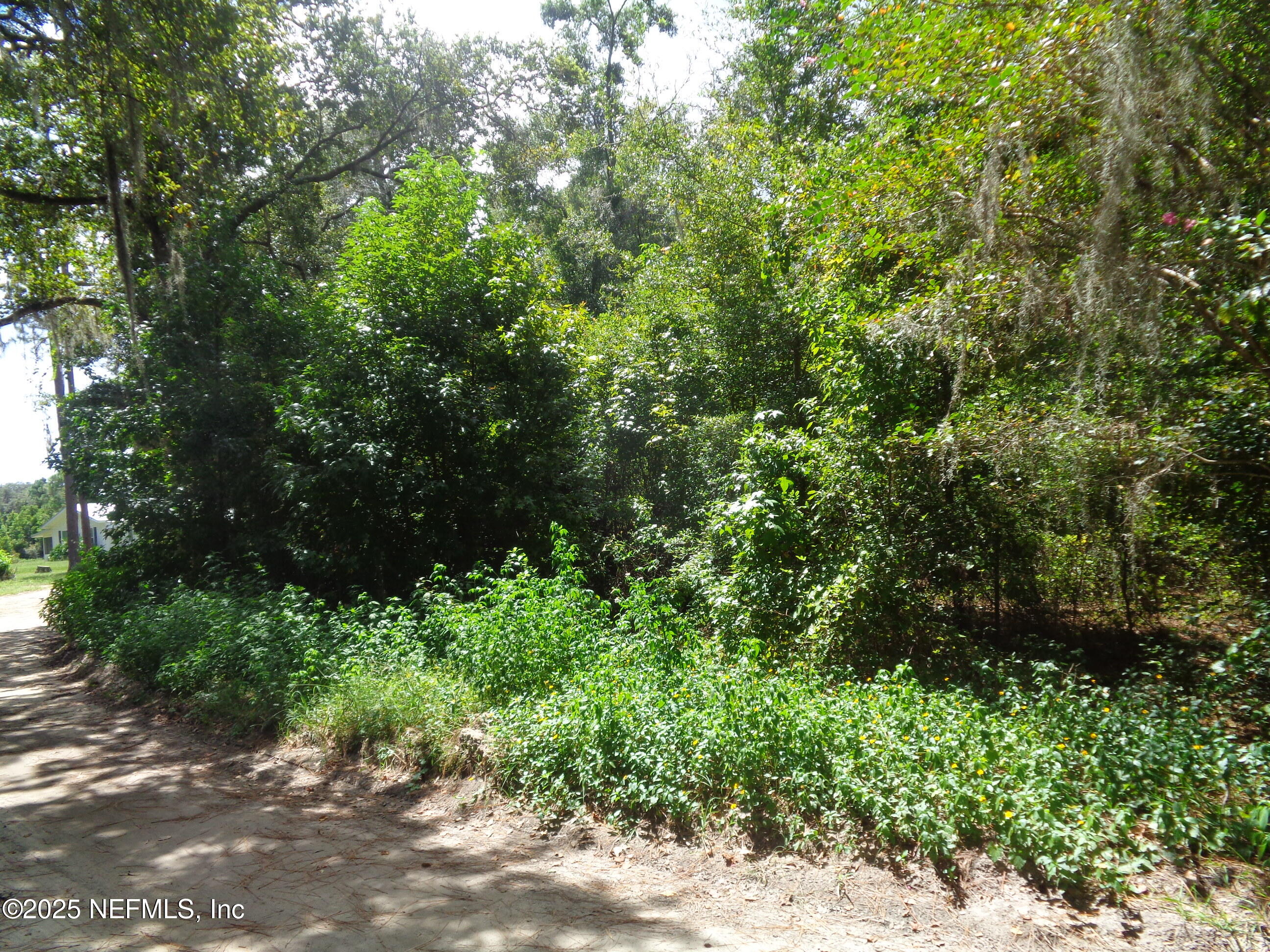 0 Lake Shore Interlachen, FL 32148 - Photo 6 of 11