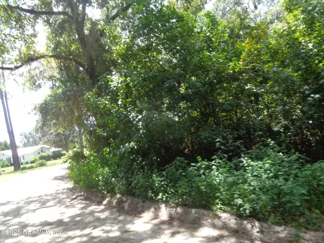 $15,000 | 0 Lake Shore, Interlachen, FL 32148