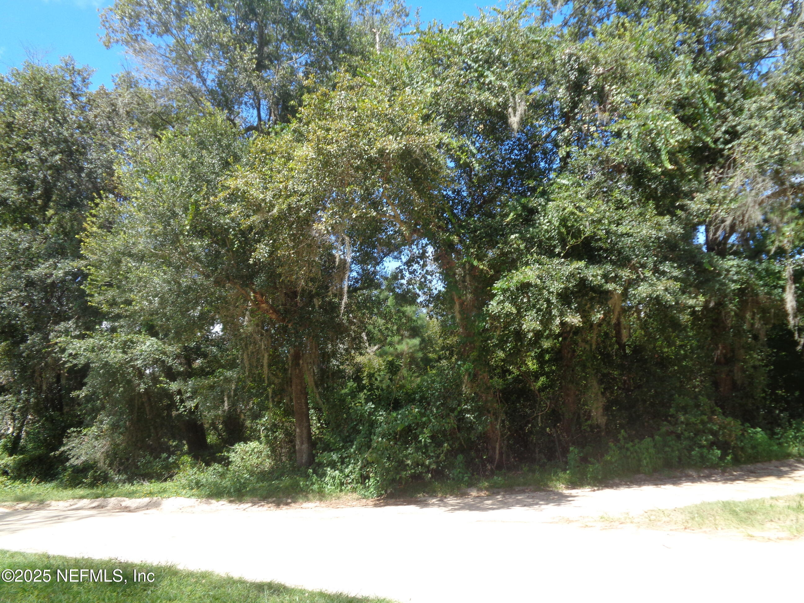 0 Lake Shore Interlachen, FL 32148 - Photo 8 of 11