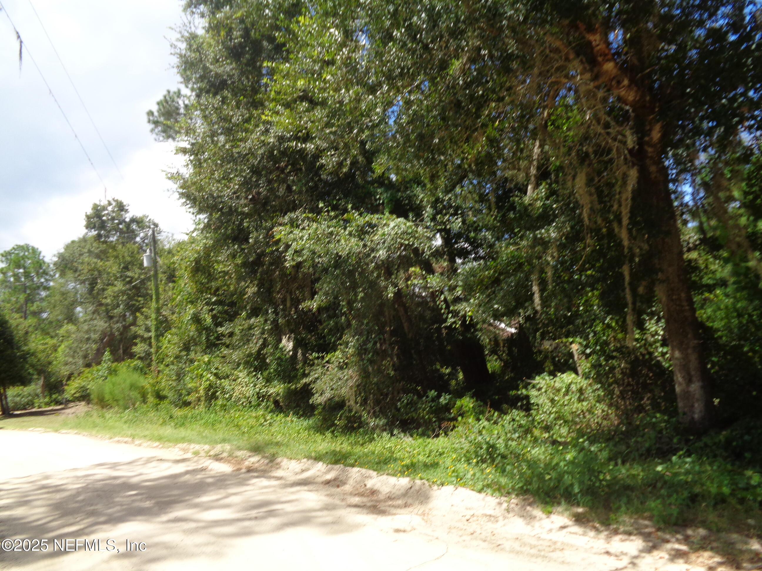 0 Lake Shore Interlachen, FL 32148 - Photo 9 of 11 a view of a yard
