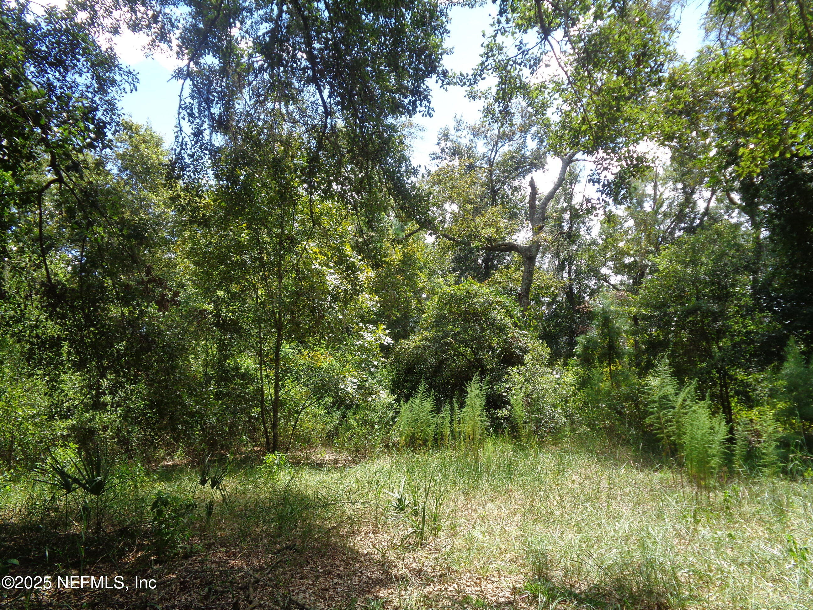 0 Lake Shore Interlachen, FL 32148 - Photo 10 of 11