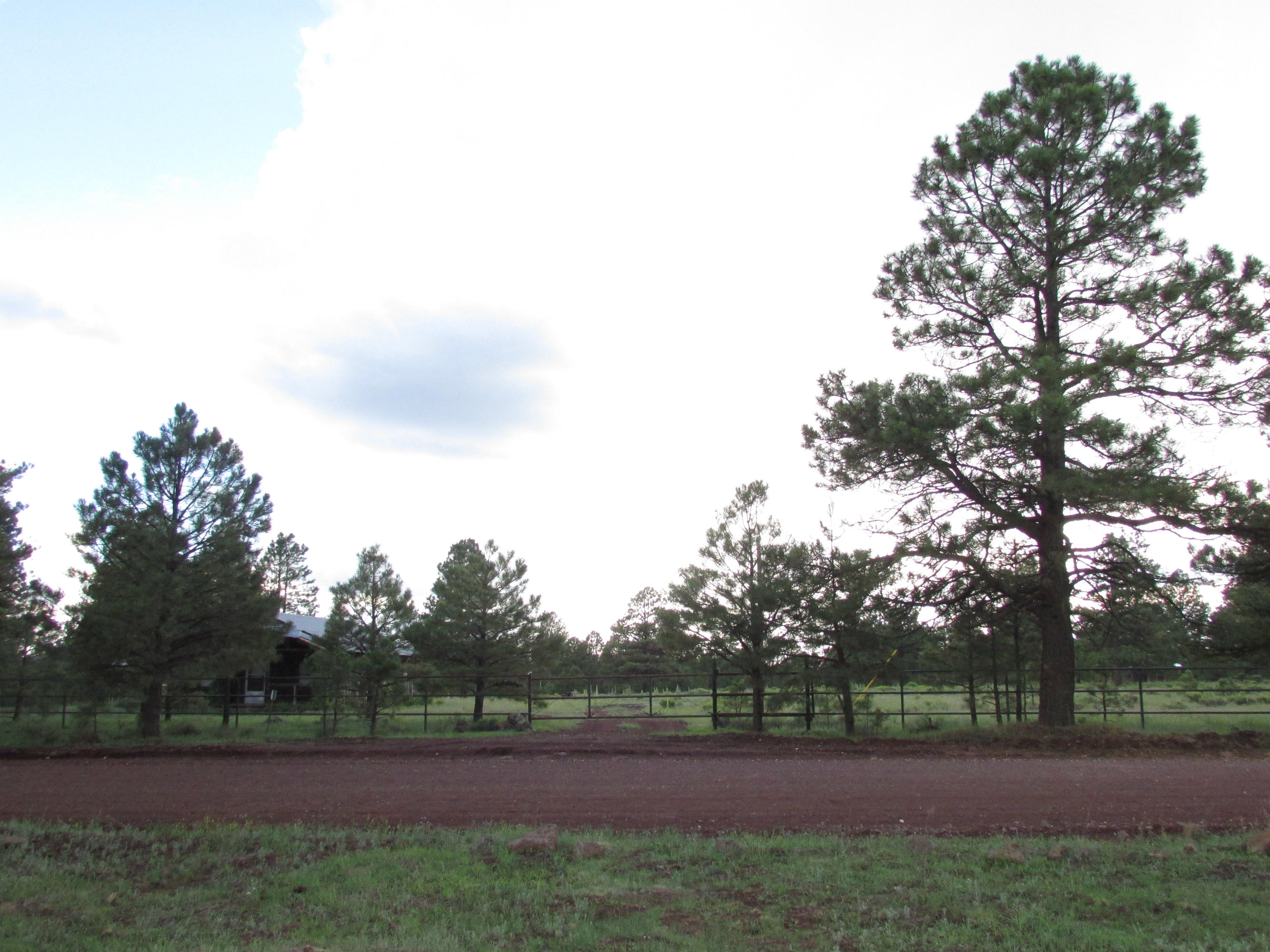 2426 Government Prairie Road Parks, AZ 86018 - Photo 3 of 10 2426 N Government Prairie 031