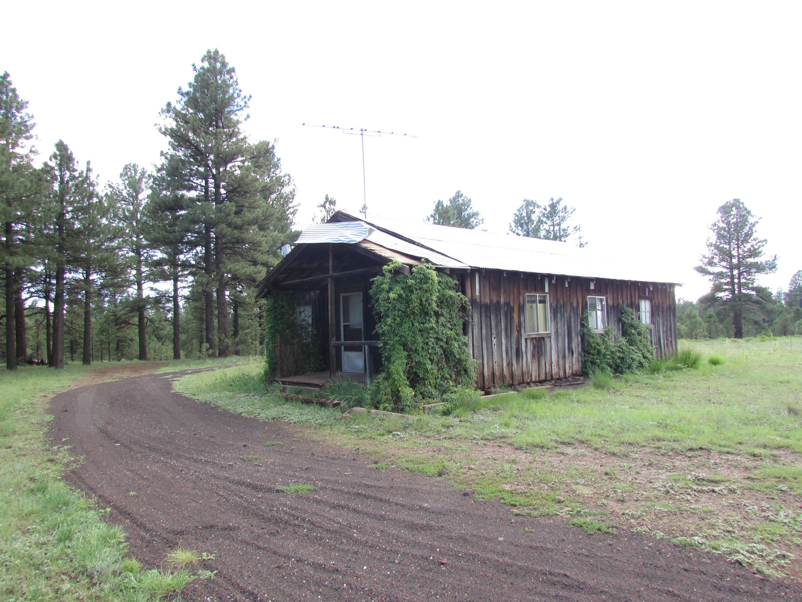 2426 Government Prairie Road Parks, AZ 86018 - Photo 5 of 10 2426 N Government Prairie 012