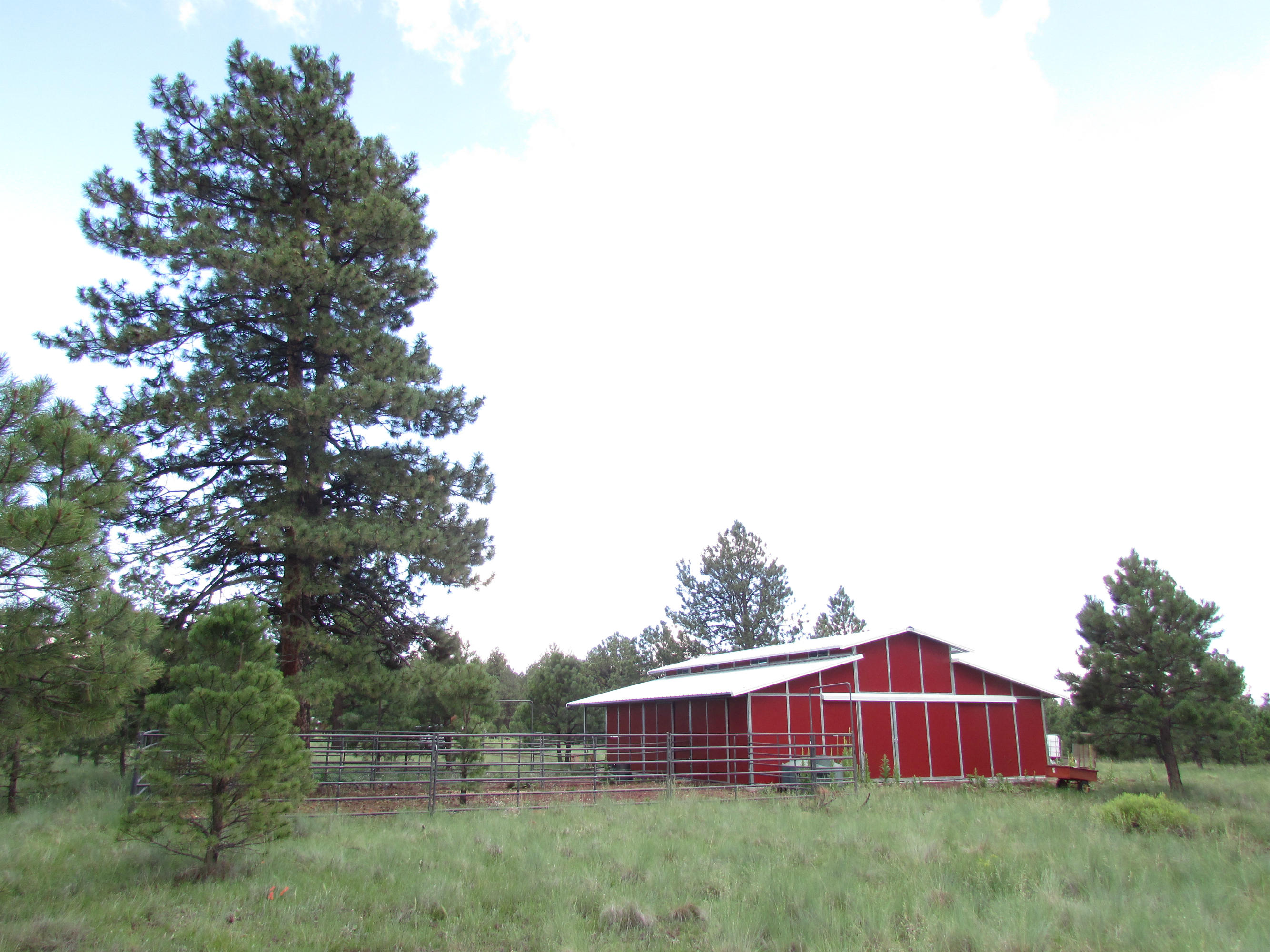 2426 Government Prairie Road Parks, AZ 86018 - Photo 9 of 10 2426 N Government Prairie 018