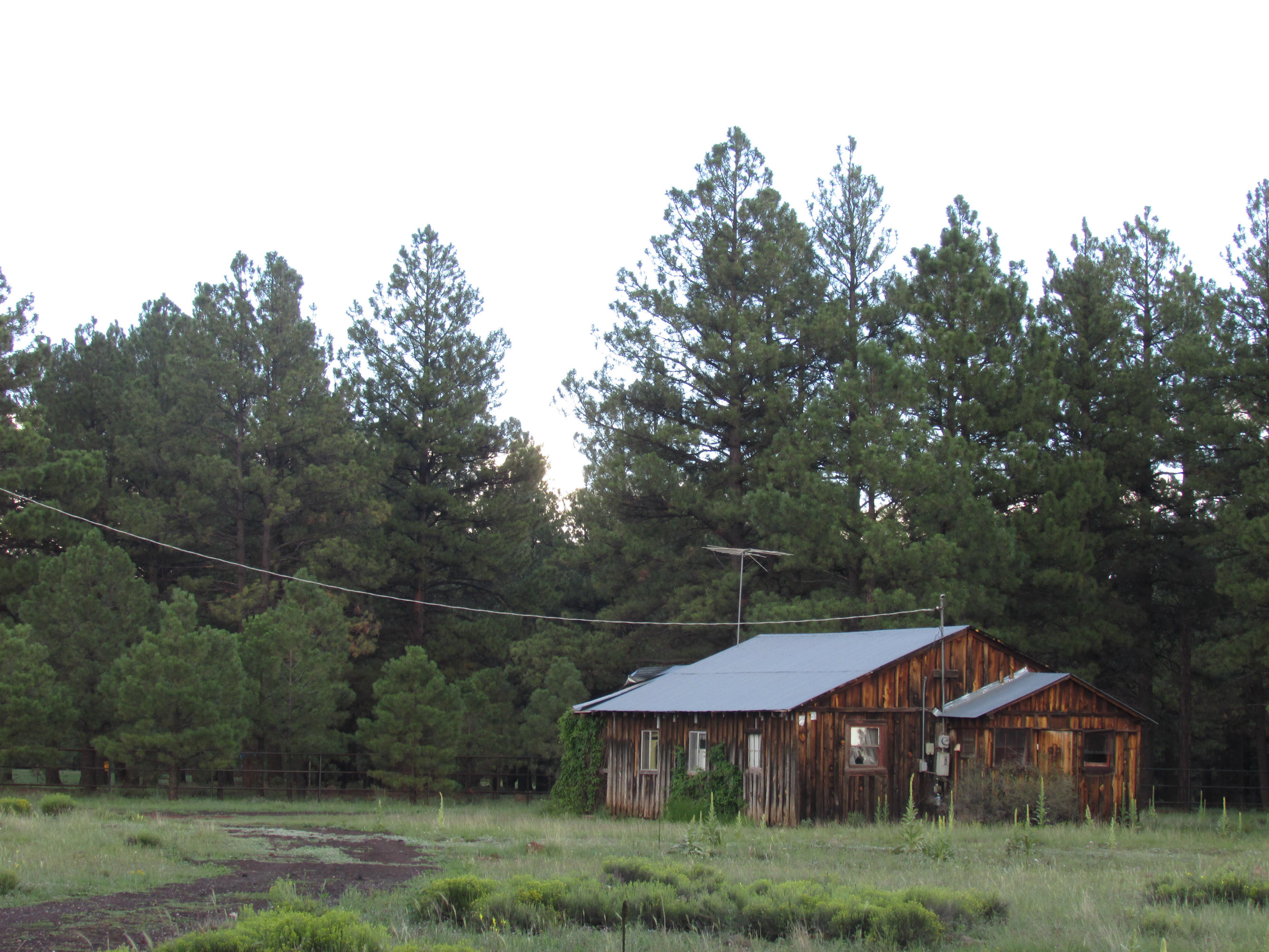 2426 Government Prairie Road Parks, AZ 86018 - Photo 10 of 10 2426 N Government Prairie 025