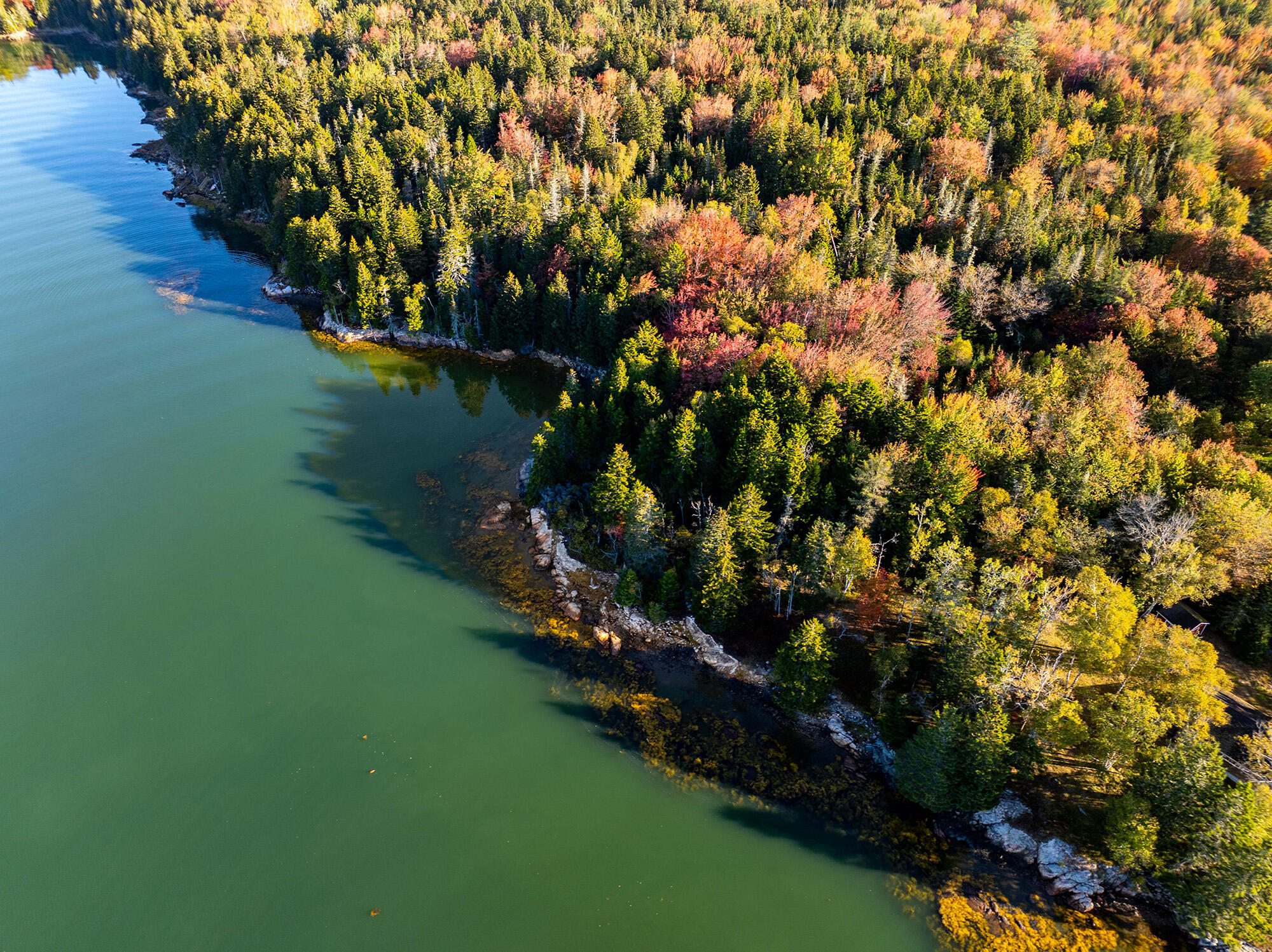 -south Goods Point Road Steuben, ME 04680 - Photo 10 of 17 12
