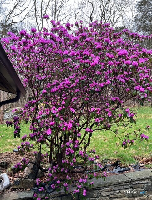 110 Town Woods Road Lyme, CT 06371 - Photo 34 of 39