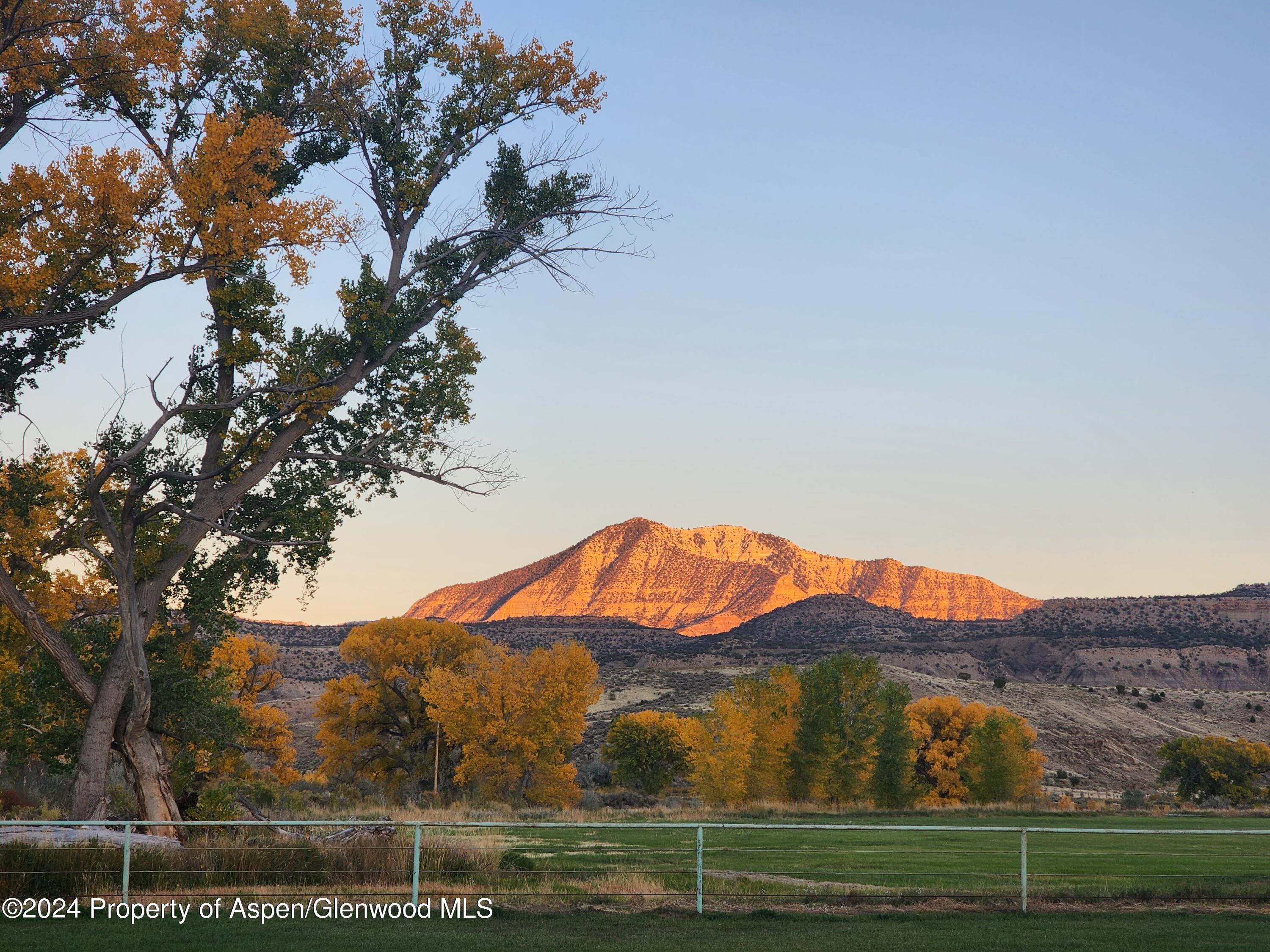4575 South 1/2 Road De Beque, CO 81630 - Photo 47 of 49 20231019_182324