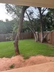 a view of a yard with a large tree