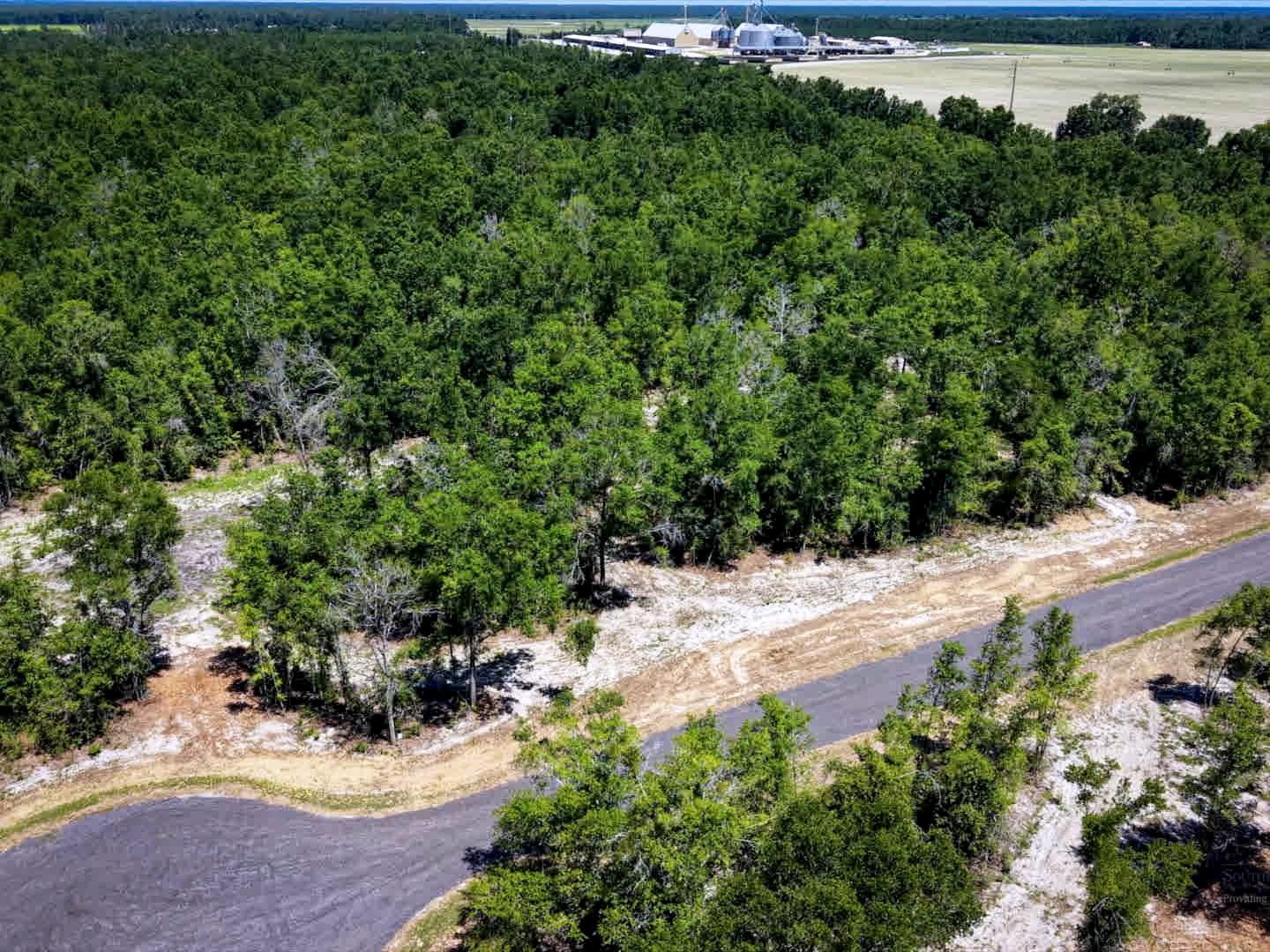 2 Highway 90 Holt, FL 32564 - Photo 22 of 24