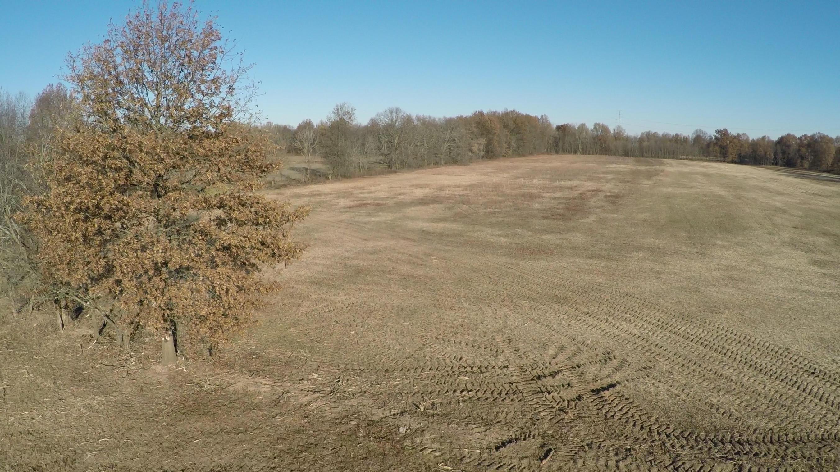 11969 Trenton Road Galena, OH 43021 - Photo 7 of 10 Gallery Image 7