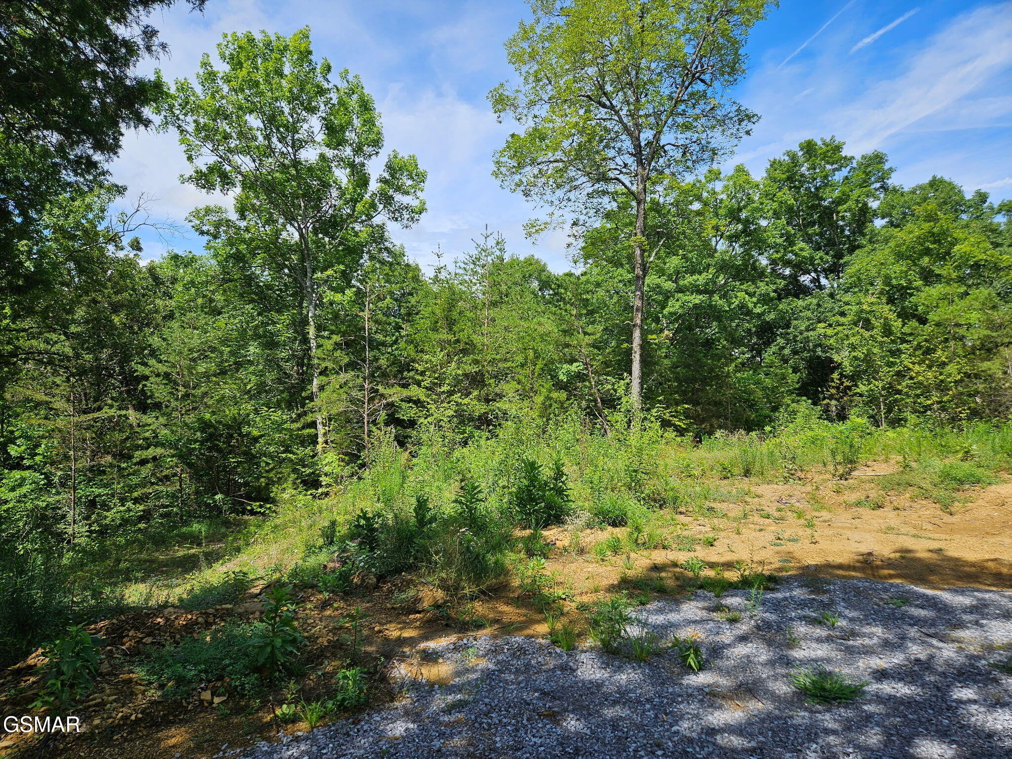 67910 Pleasure Road Sevierville, TN 37876 - Photo 18 of 20 Gallery Image 18