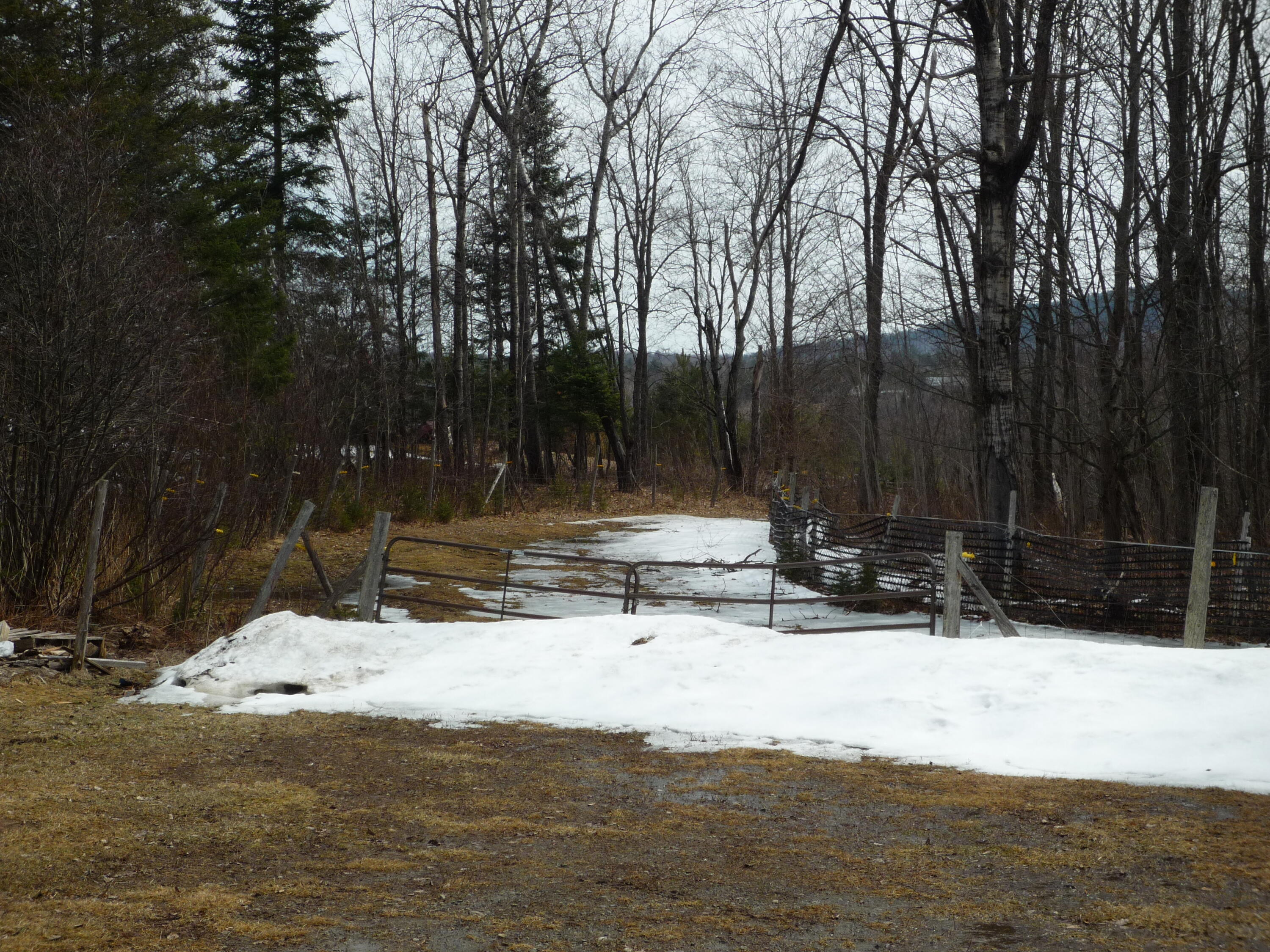 4951 State Rte 3 Saranac, NY 12981 - Photo 47 of 76 P1060518