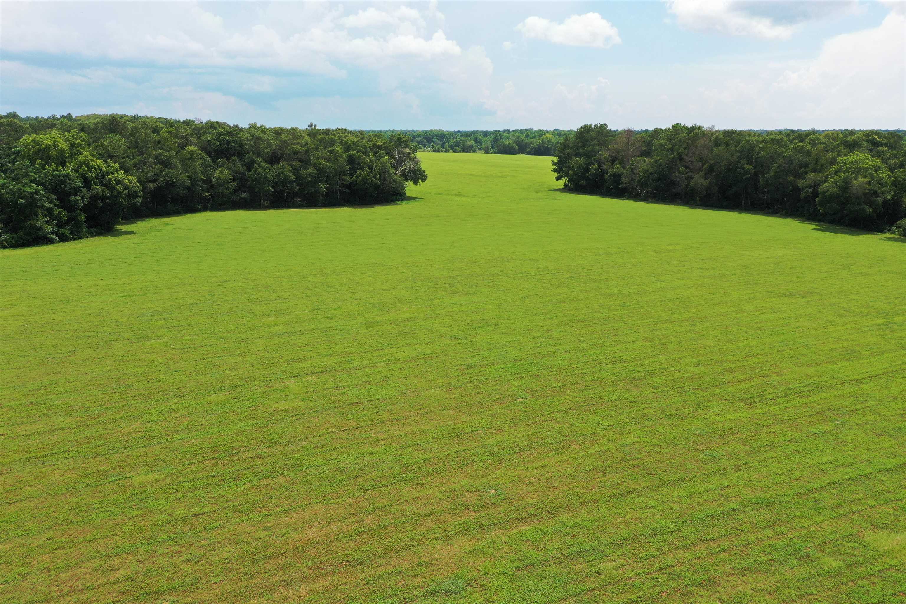 Xx Xx Max Herrin Road Quincy, FL 32352 - Photo 20 of 46