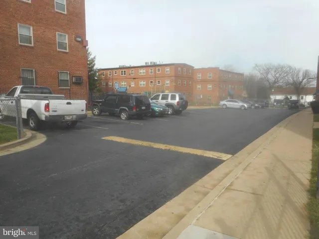 a view of a park with couch