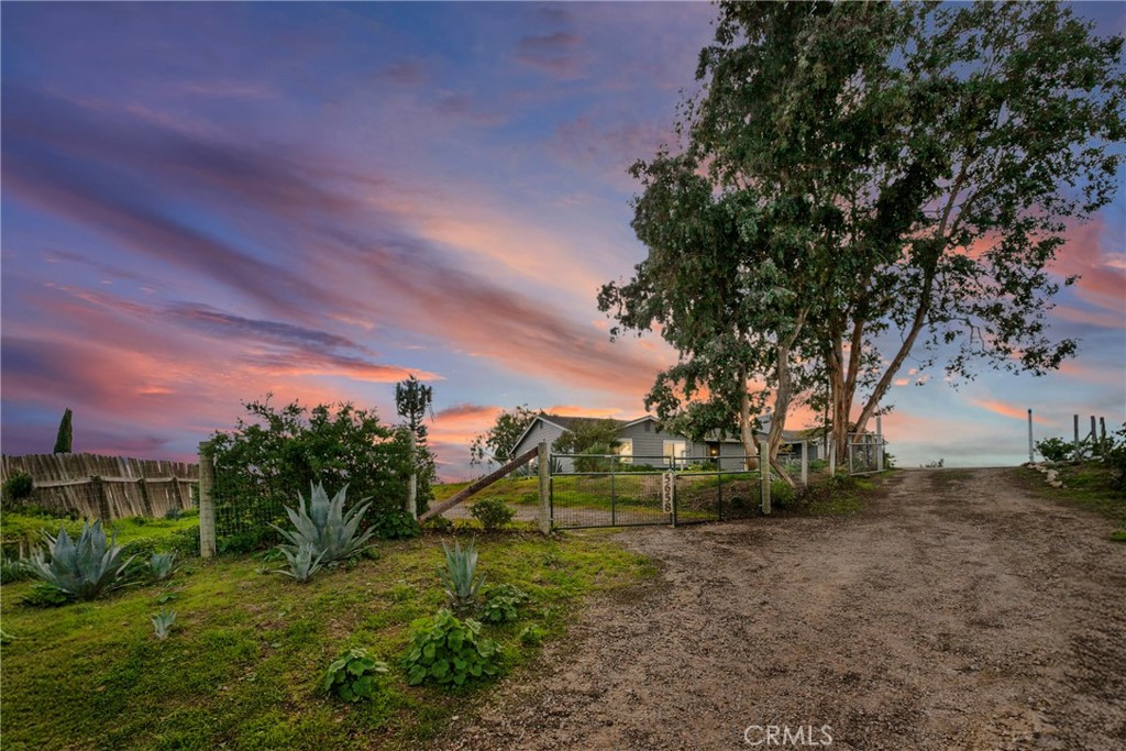 5658 Prancing Deer Road Paso Robles, CA 93446 - Photo 24 of 31 a view of a yard with plants and a trees