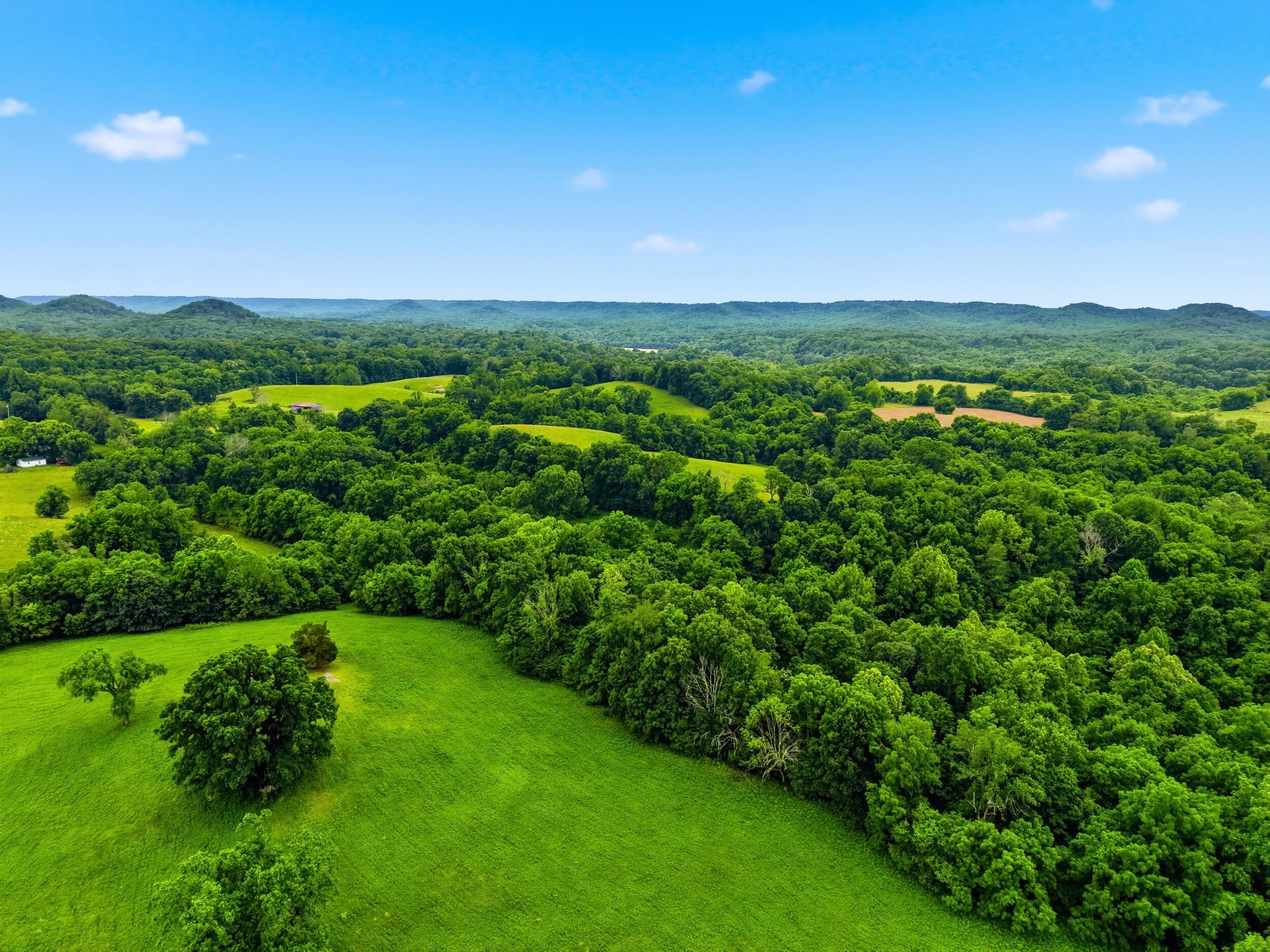 17412 Forkland Road Gravel Switch, KY 40328 - Photo 53 of 63 Forkland_drone_012