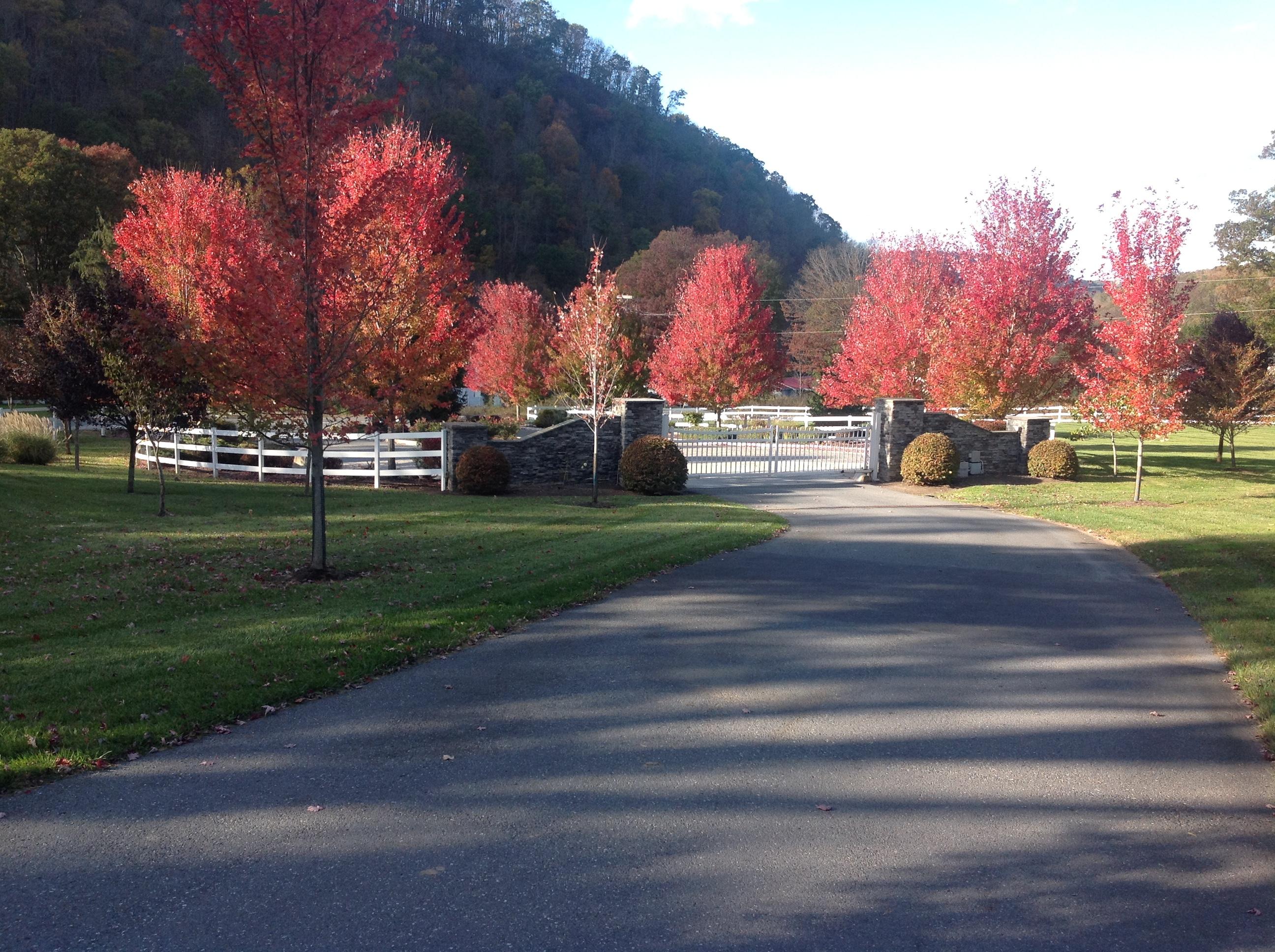 Lot 39 Wildwood Ridge Lindside, WV 24951 - Photo 23 of 24 Gallery Image 23