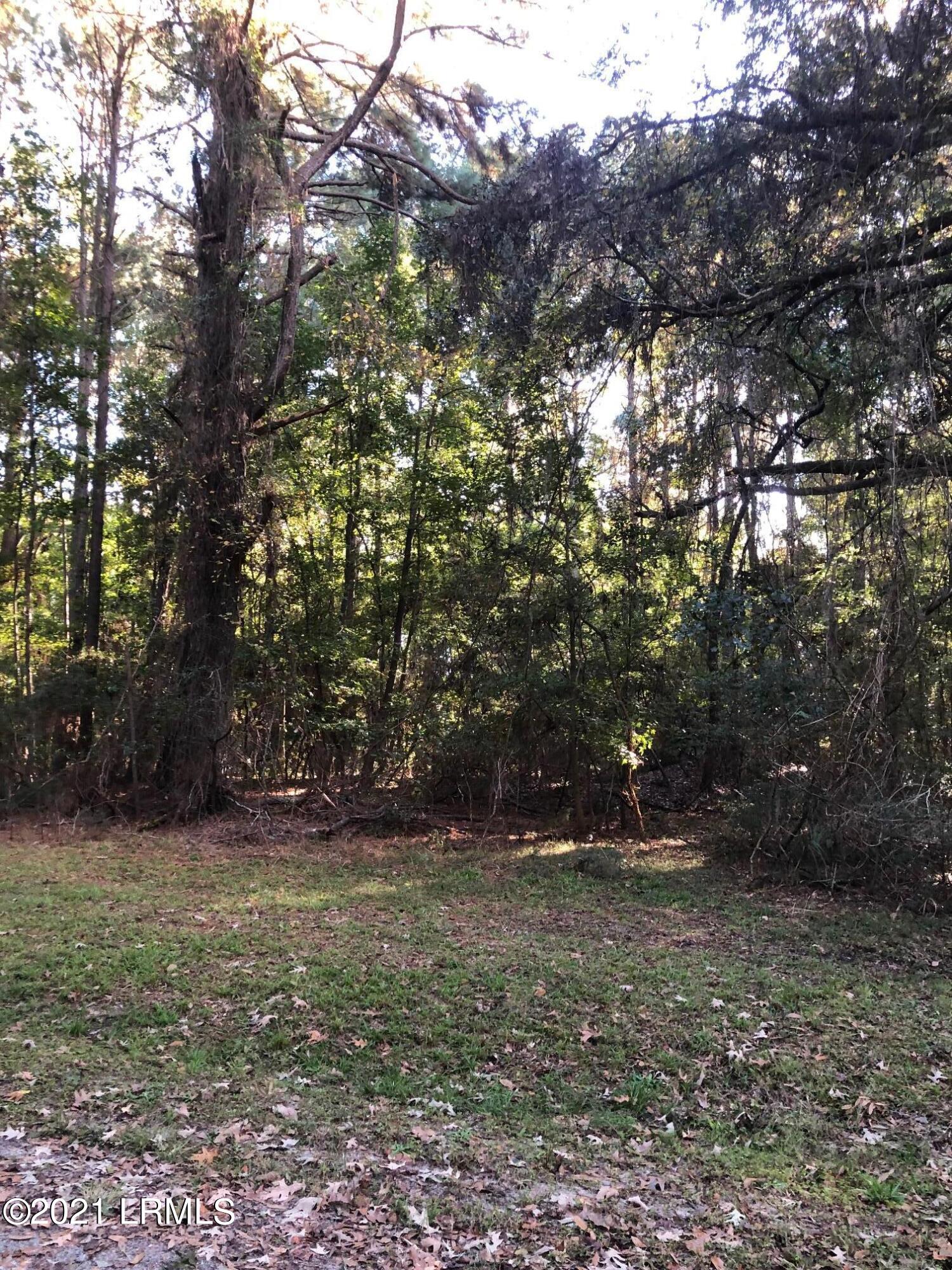Lot 4 Deloss Point Road Ridgeland, SC 29936 - Photo 3 of 11 Deloss 5