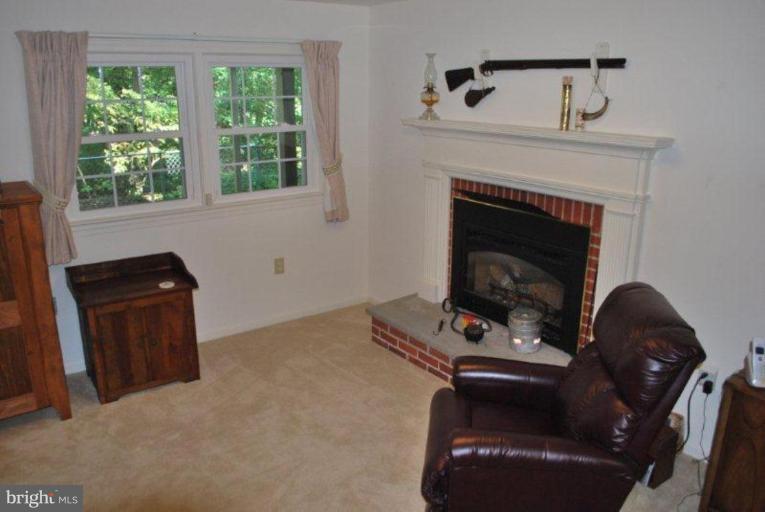 13233 Clifton Road Silver Spring, MD 20904 - Photo 23 of 30 a living room with furniture and a fireplace