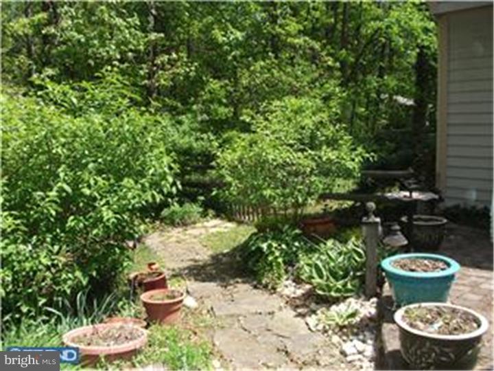 5 Meadow Run Road Princeton Junction, NJ 08550 - Photo 21 of 25 Side Yard