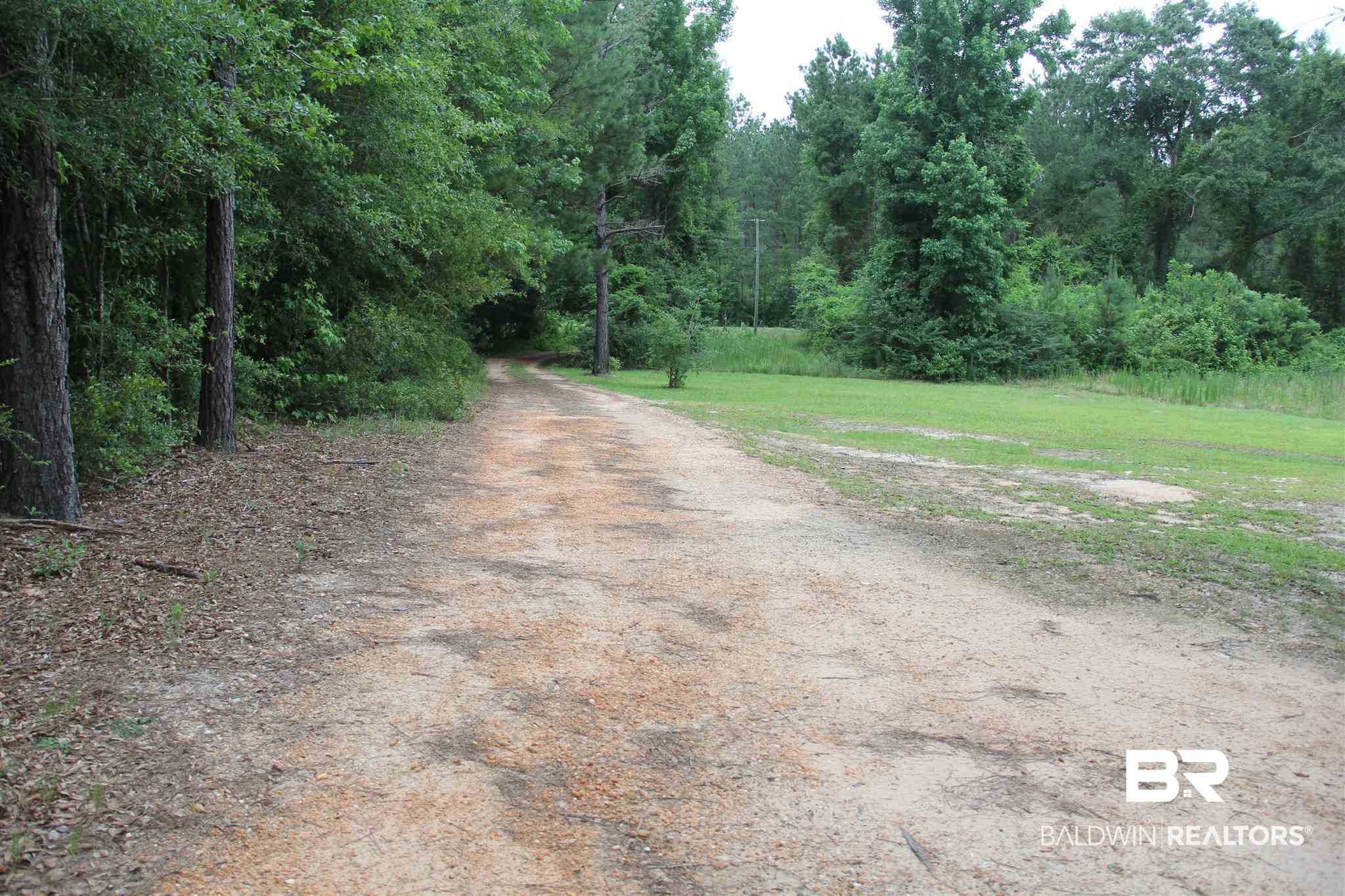 5690 Drewry Road Monroeville, AL 36460 - Photo 1 of 21