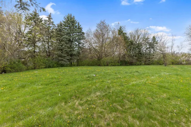 a view of a green field with trees in the background