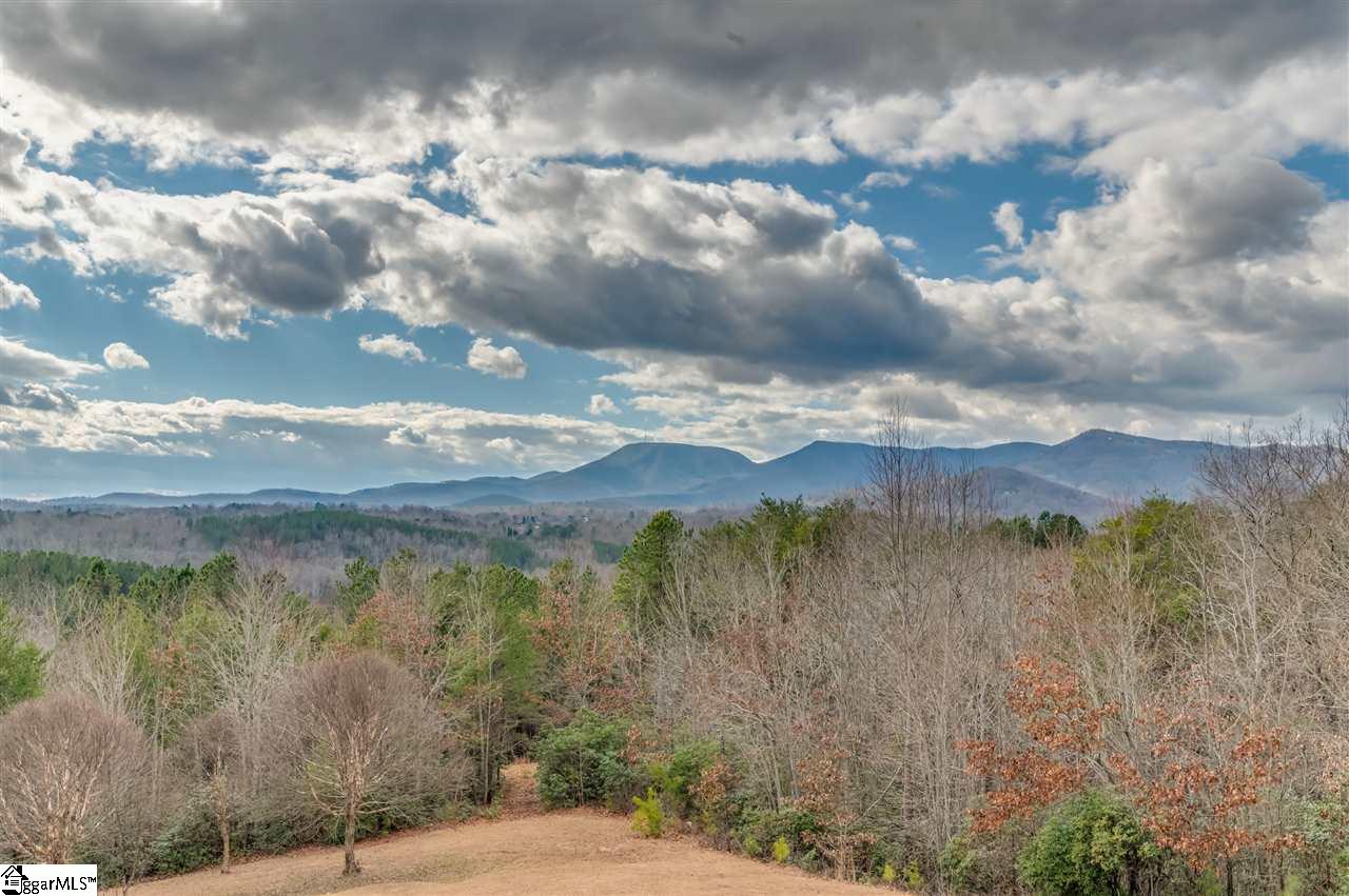 462 Christopher Lane Tryon, NC 28782 - Photo 8 of 36