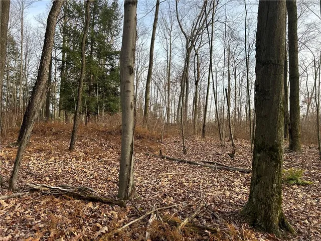 a view of a backyard of the house