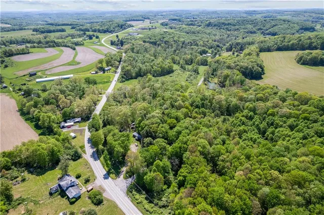 an aerial view of green landscape with trees houses and mountain view