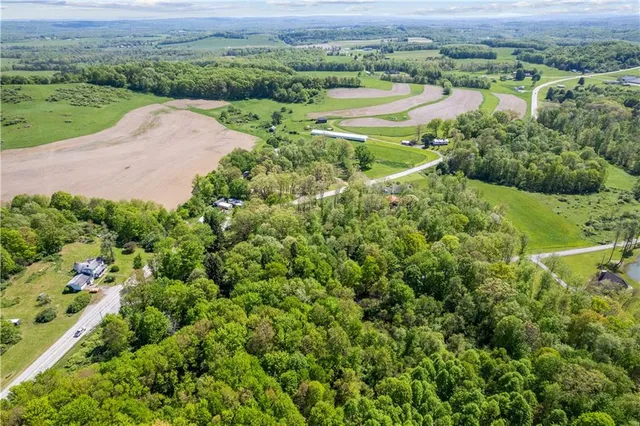 an aerial view of green landscape with trees houses and mountain view