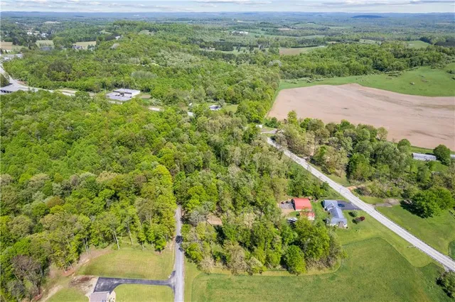 a view of a lush green field with lots of bushes