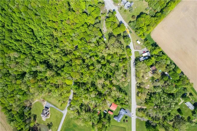 a view of a plant with a plant