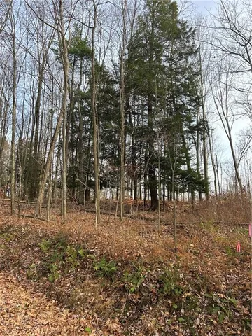 a view of empty area with trees