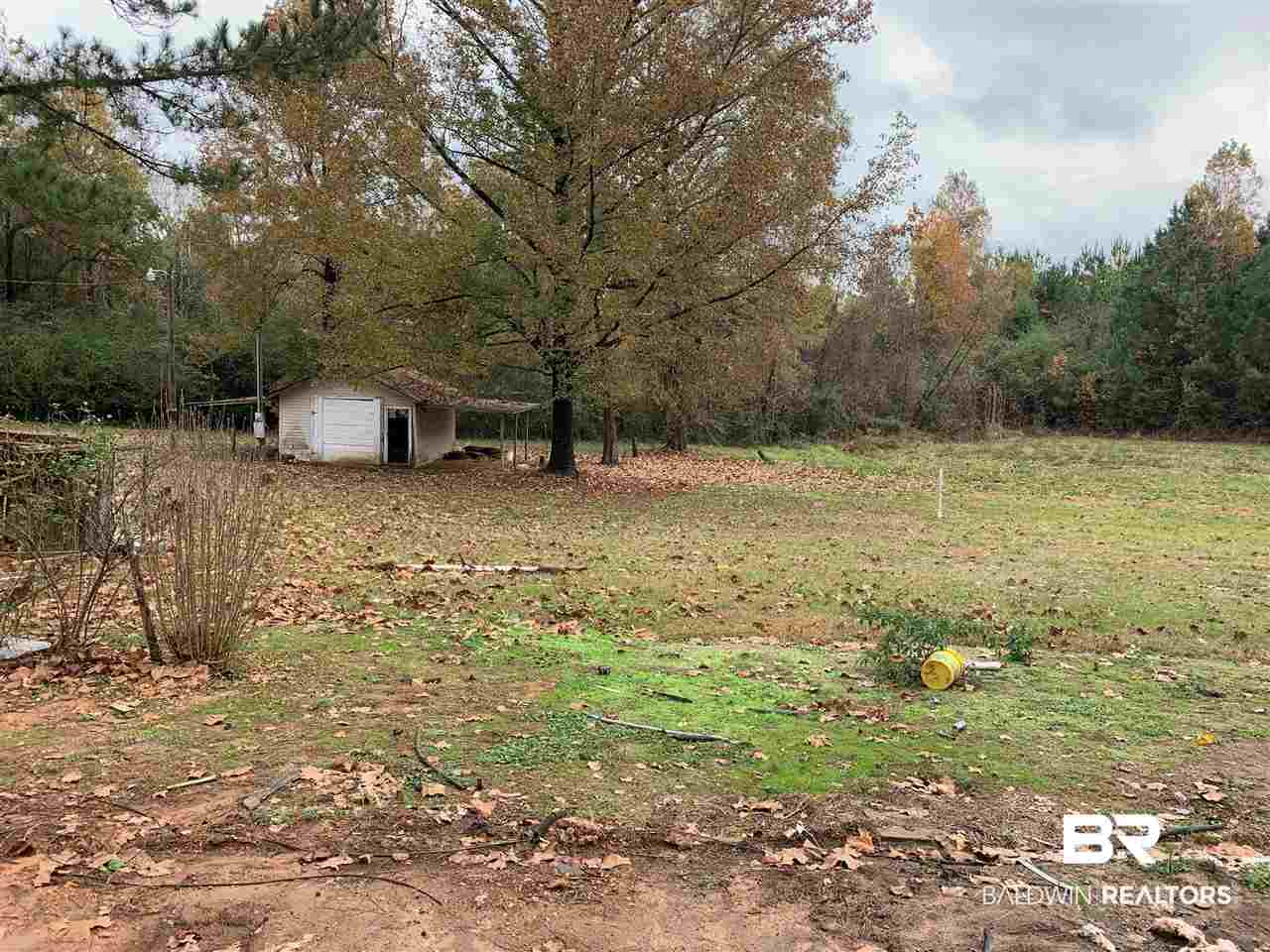 166 Pleas Lane Frisco City, AL 36445 - Photo 1 of 3