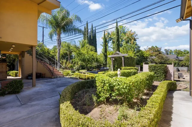 a view of a yard with potted plants and large trees