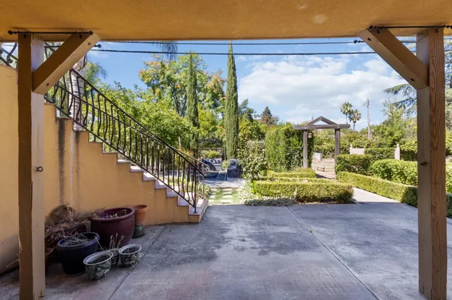 a view of a backyard with plants and tree