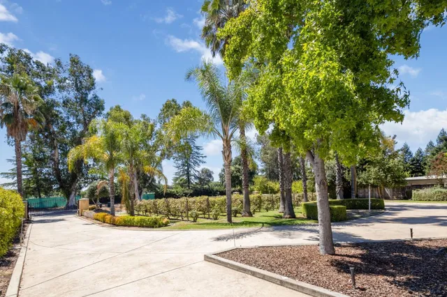 a view of a park with tree s
