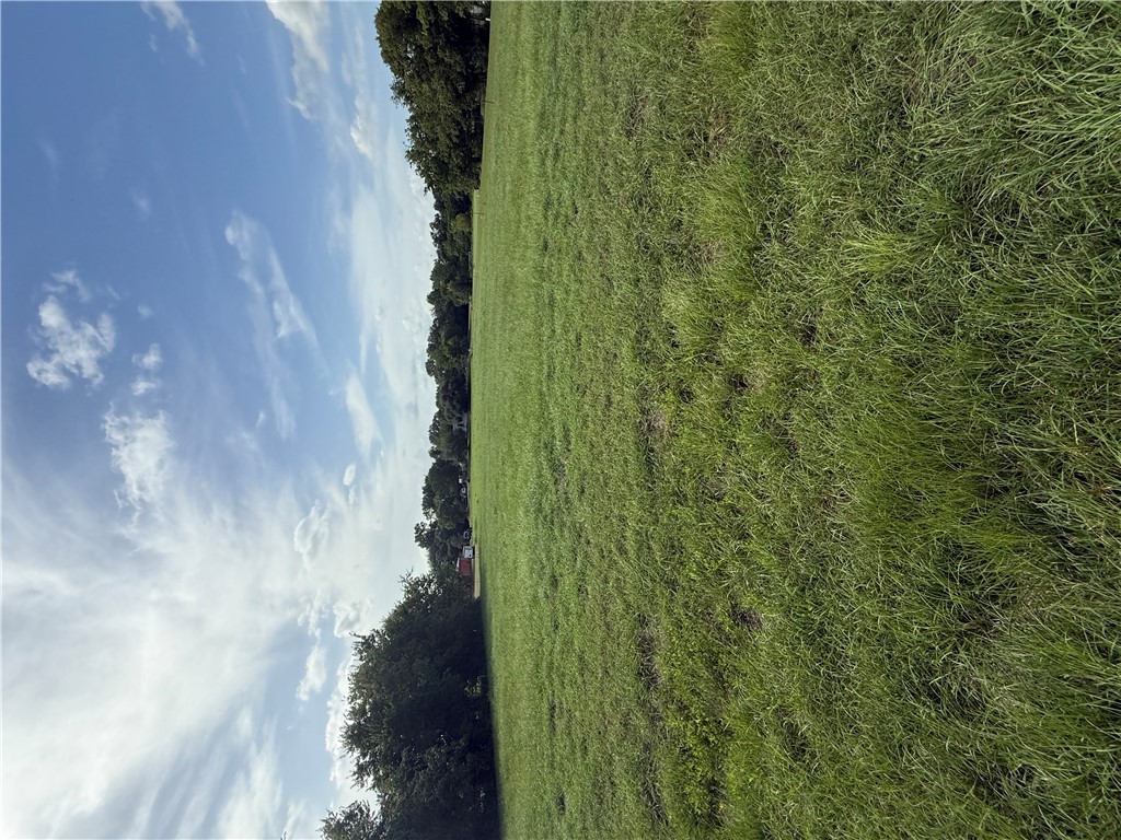 569 County Road 269 Snook, TX 77879 - Photo 3 of 5 a view of an ocean and a yard
