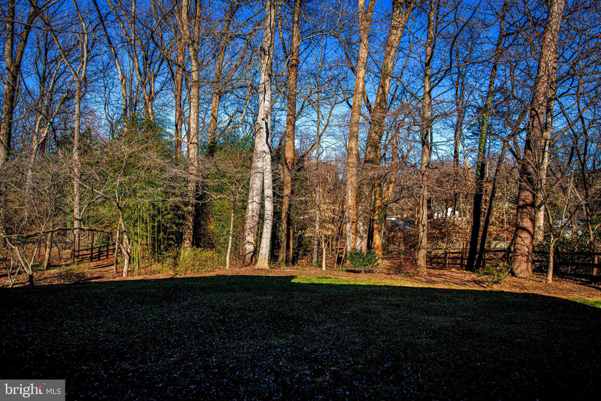 644 Symphony Woods Drive Silver Spring, MD 20901 - Photo 10 of 53 a view of outdoor space