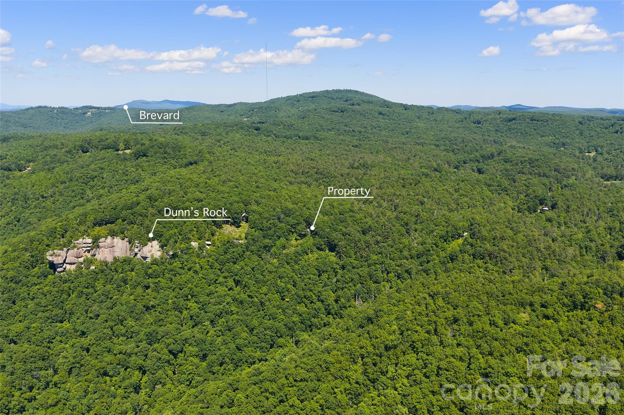 911 Green Hill Road Brevard, NC 28712 - Photo 46 of 48