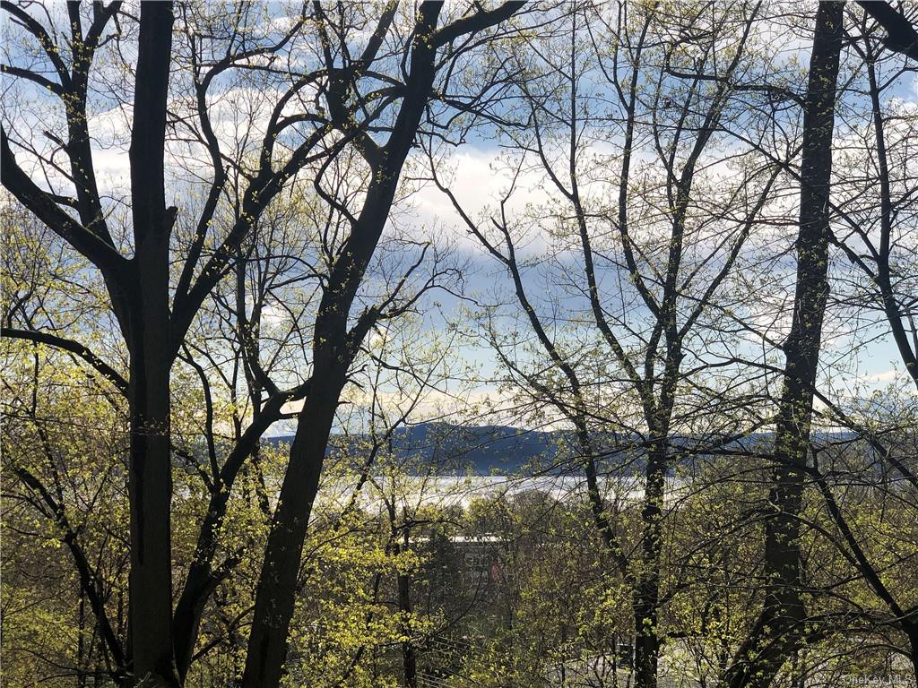 Seasonal Hudson River veiw