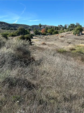a view of a dry yard with trees