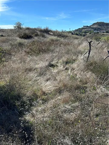 a view of a dry field