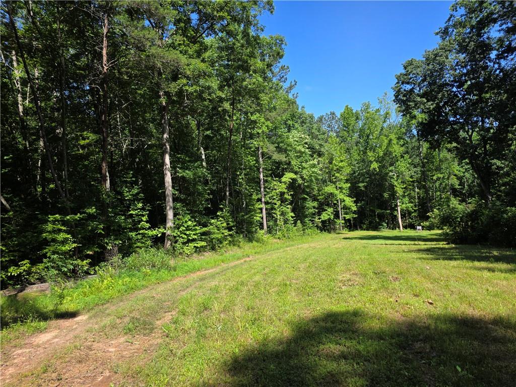 0 Lawson Federal Road Ball Ground, GA 30107 - Photo 11 of 28 a view of a field with a tree