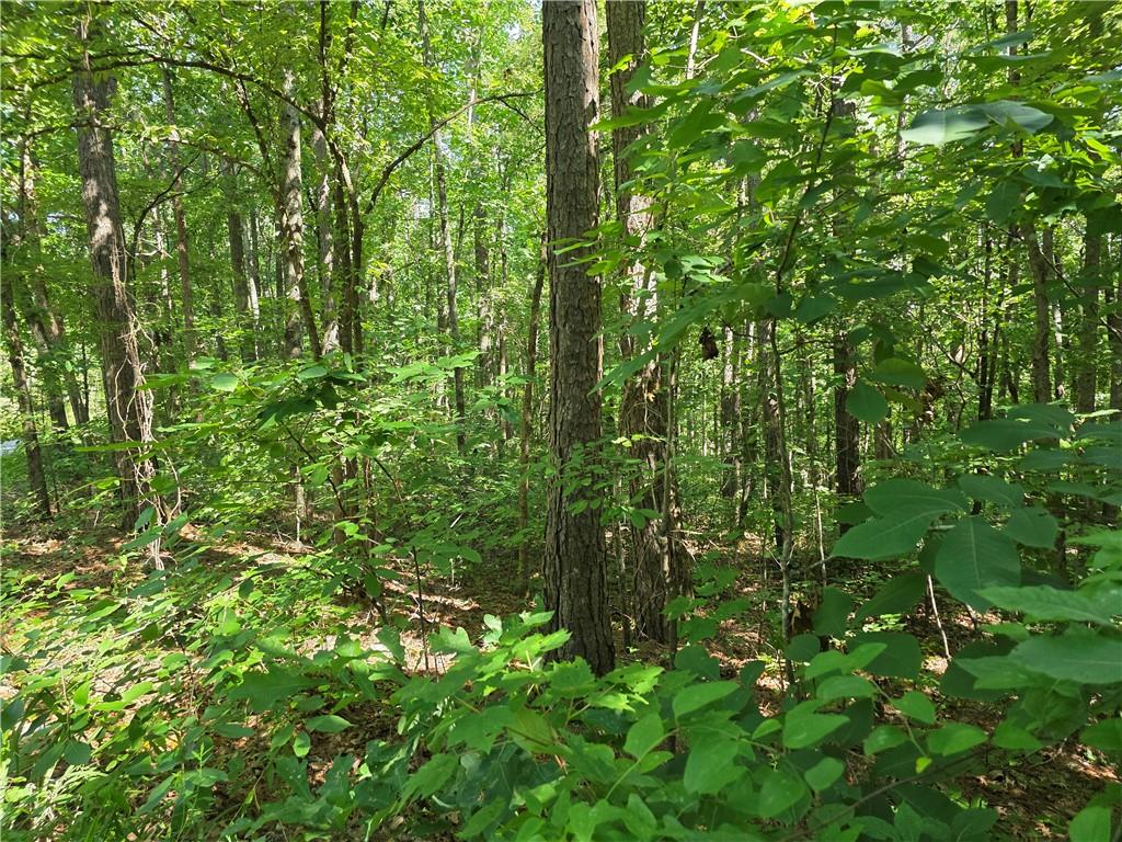 0 Lawson Federal Road Ball Ground, GA 30107 - Photo 2 of 28 a view of a lush green forest