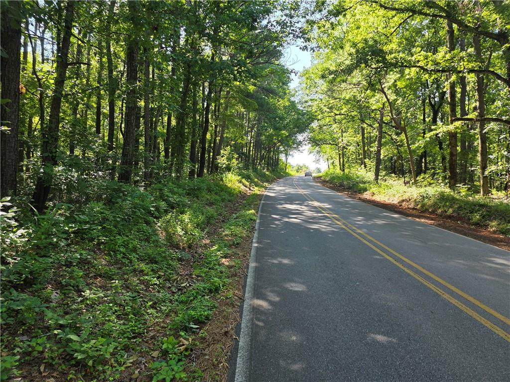 0 Lawson Federal Road Ball Ground, GA 30107 - Photo 3 of 28 a view of a street with a tree