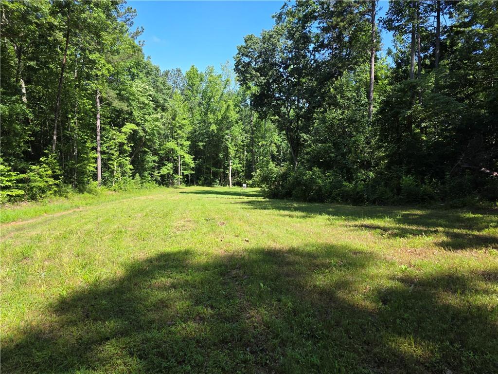 0 Lawson Federal Road Ball Ground, GA 30107 - Photo 9 of 28 a view of field with trees in the background