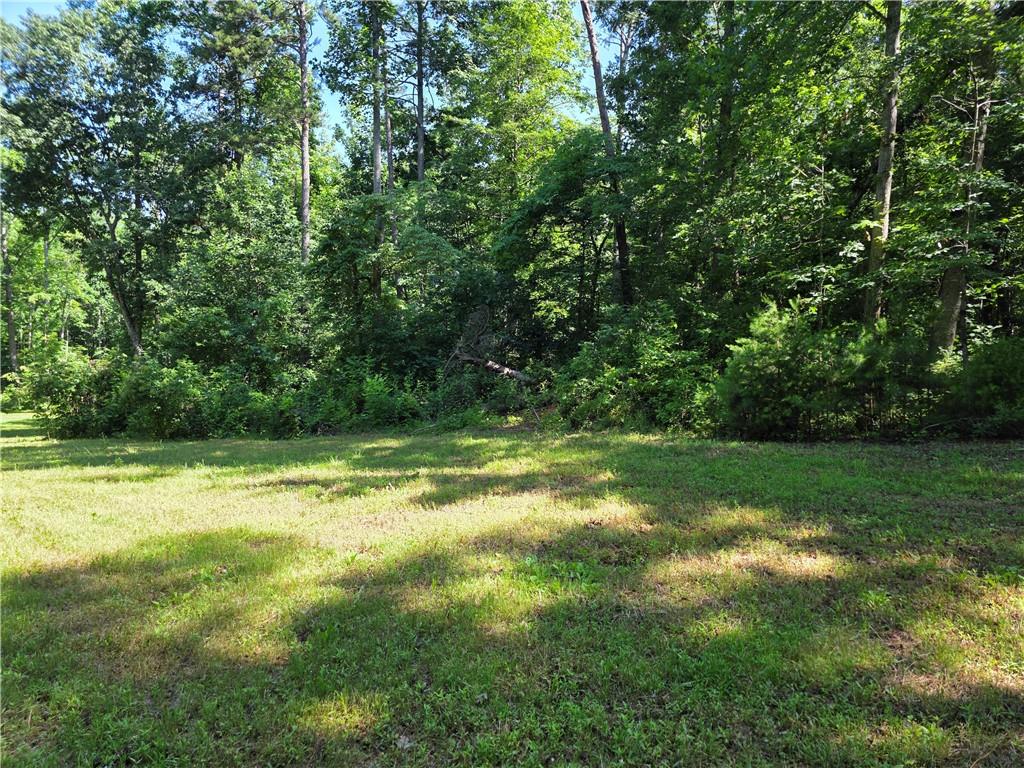 0 Lawson Federal Road Ball Ground, GA 30107 - Photo 10 of 28 a view of a yard with a trees