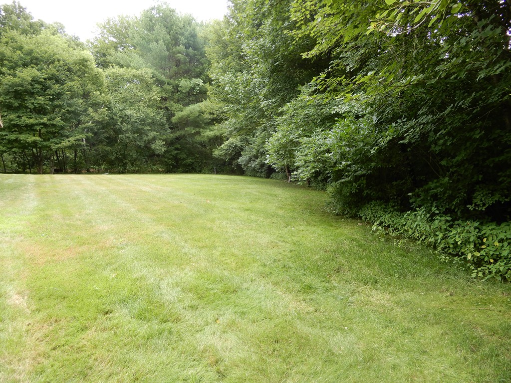 82 Town Farm Road Brookfield, MA 01506 - Photo 5 of 28 a view of outdoor space and yard